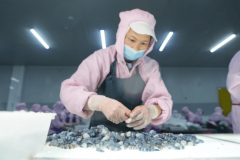 <b>让良德源牢牢占领“中国暖锅虾滑第一品牌”的</b>